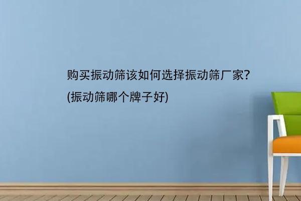 购买振动筛该如何选择振动筛厂家？(振动筛哪个牌子好)